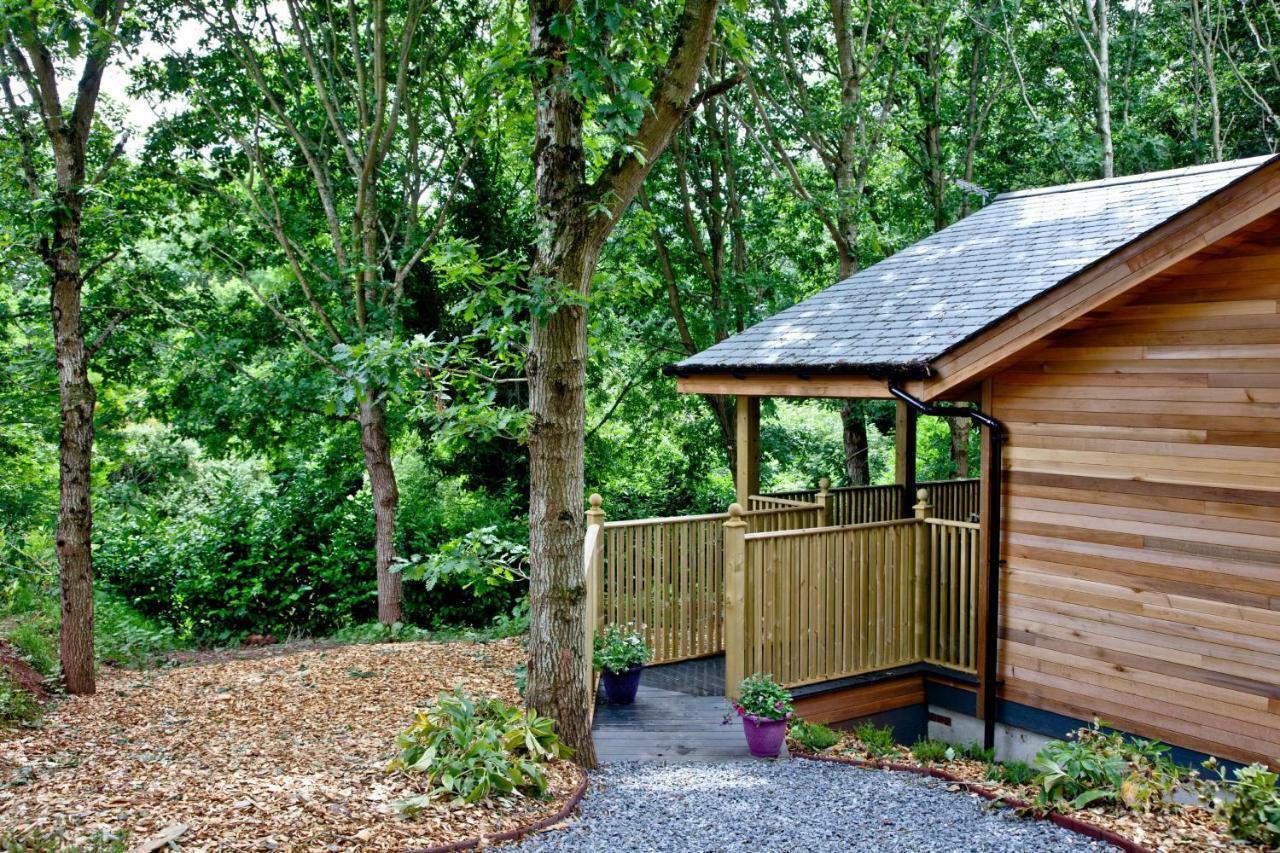 Cedar Lodge, South View Lodges, Exeter Luaran gambar